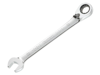 Expert by Facom Ratchet Combination Spanner