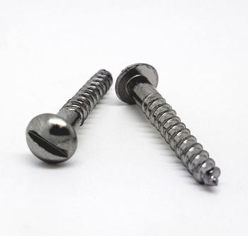 Stainless Steel Woodscrews Round Slotted