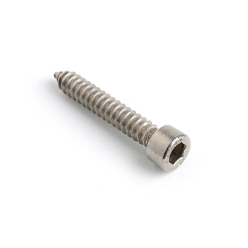 Socket Cap Head Self Tapper A2/Stainless Socket Cap Head Self Tapper A2/Stainless