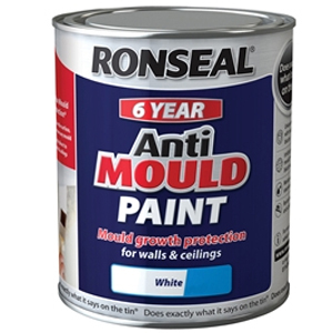 6 Year Anti Mould Paint White Silk 2.5 litre