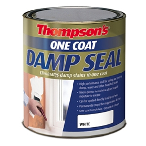 Thompson's One Coat Stain Block Damp Seal 2.5 litre